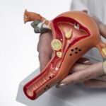 ayurvedic infertility clinic in Shahdara
